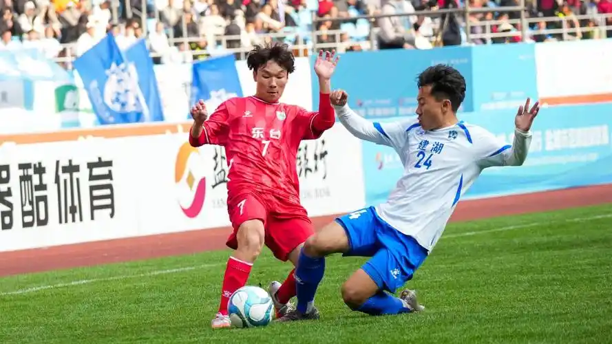 雨燕体育在线直播